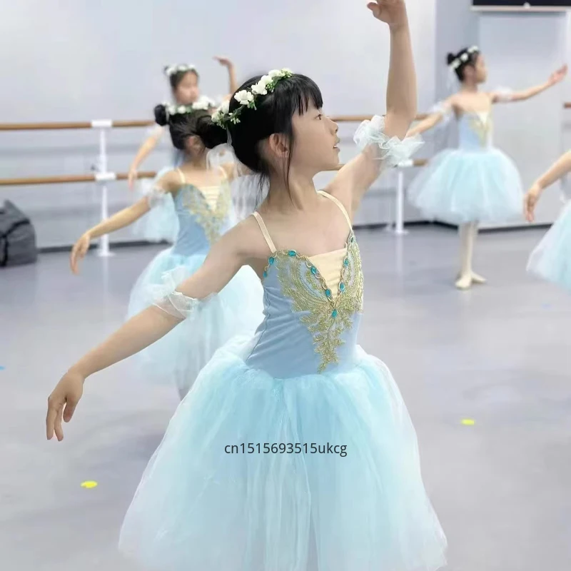 Teenager Ballet Dance Dress Girls' Dance Dress Ballet Dancer Costume School Dance Program, Stage Collective Performance Costume