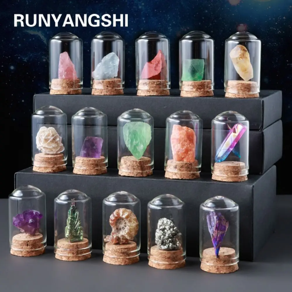 Irregular Natural Minerals specimen With Glass Display Jar Healing Raw Stone Specimens Energy Natural Raw Stone Education