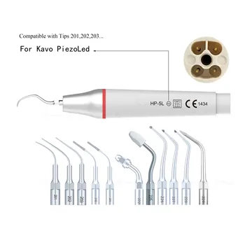 Pièce à main K2 pour détartreur dentaire ultrasonique KAVO PiezoLed, dentisterie avec pointes de détartrage de pointe 201 202 203, retrait supragingival HP-5L