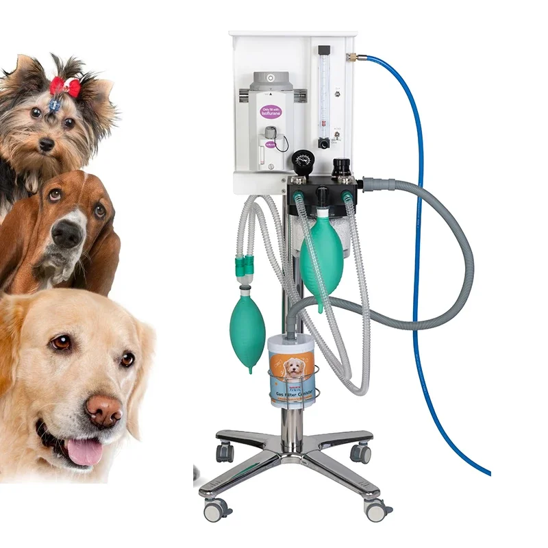 ESCO VET Best Selling Veterinary Medical Ventilation Apparatus Anaesthesia Instruments Anesthesia Machine