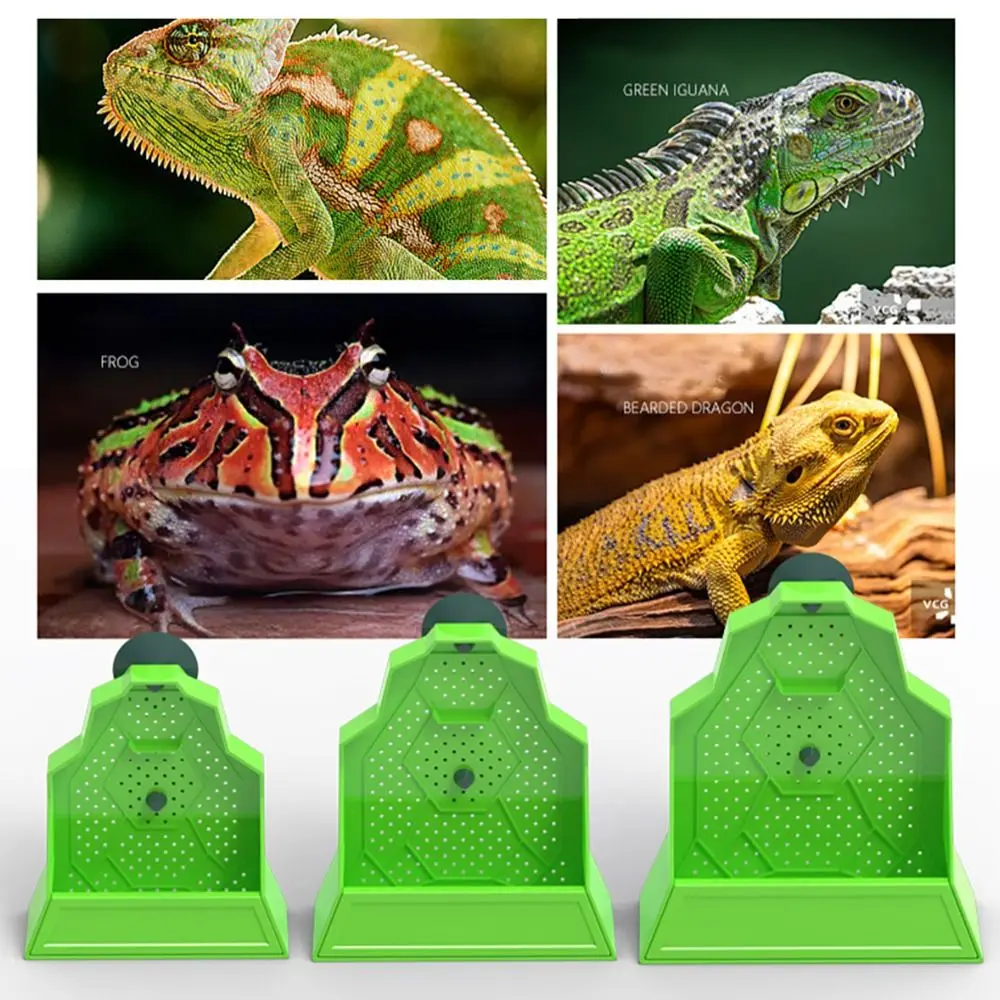 Plastic Reptile Feeding Bowl Hanging Suction Cup Open Feeding Mouth Live Insect Dish Suspendable Design Lizard Food Tray