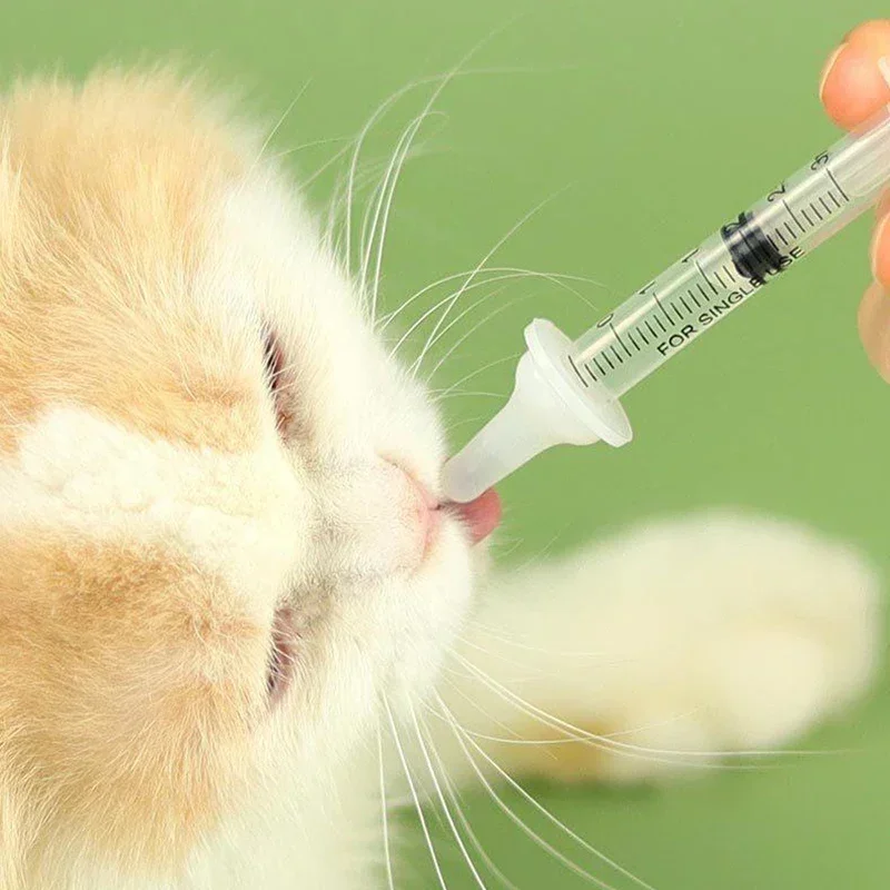 Kit de biberón para alimentación de mascotas recién nacidos, chupete de alimentación para perros, gatos y hámster, alimentación de medicina con