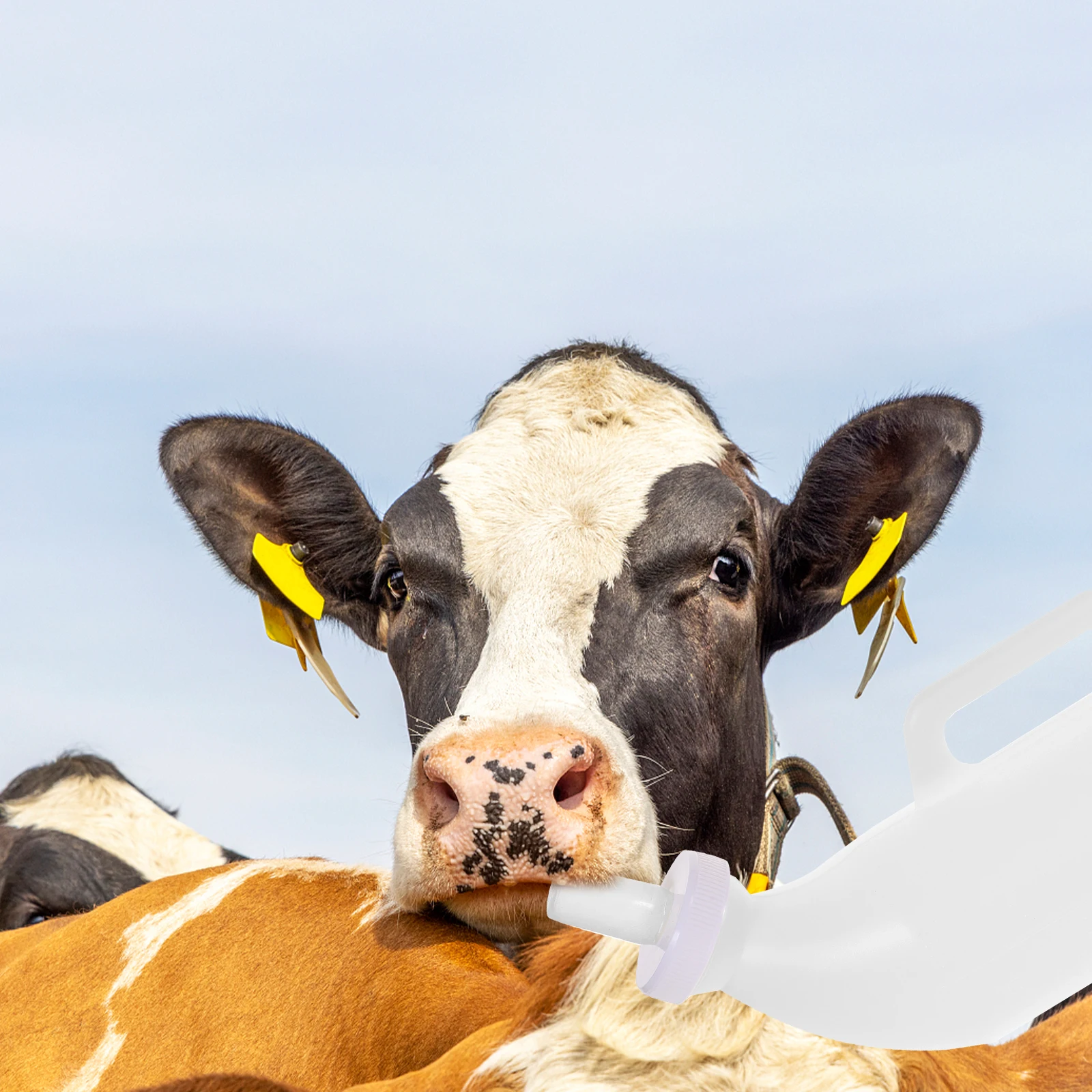 

2 set Calf Feeding Bottle 600Ml Milk Bottle For Livestock Piglet Nursing Kit Pet Nursing Supplies Durable Leak-Proof