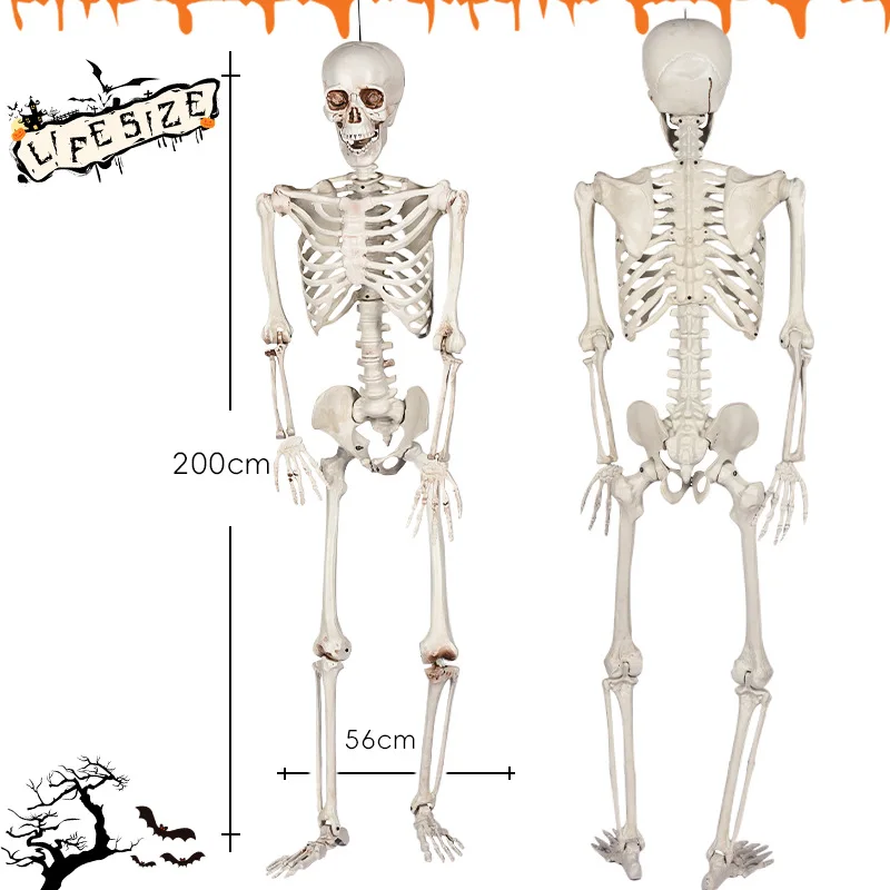 هالوين 2 متر جمجمة كبيرة زخرفة محاكاة الديكور الدعائم تعليم هيكل عظمي رجل غرفة سرية الهروب في الهواء الطلق هيكل عظمي ghos