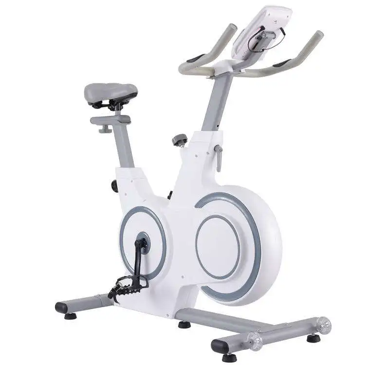 

Factory Direct Sales Spin Bike Steel Material Indoor Exercise Spinning Bike