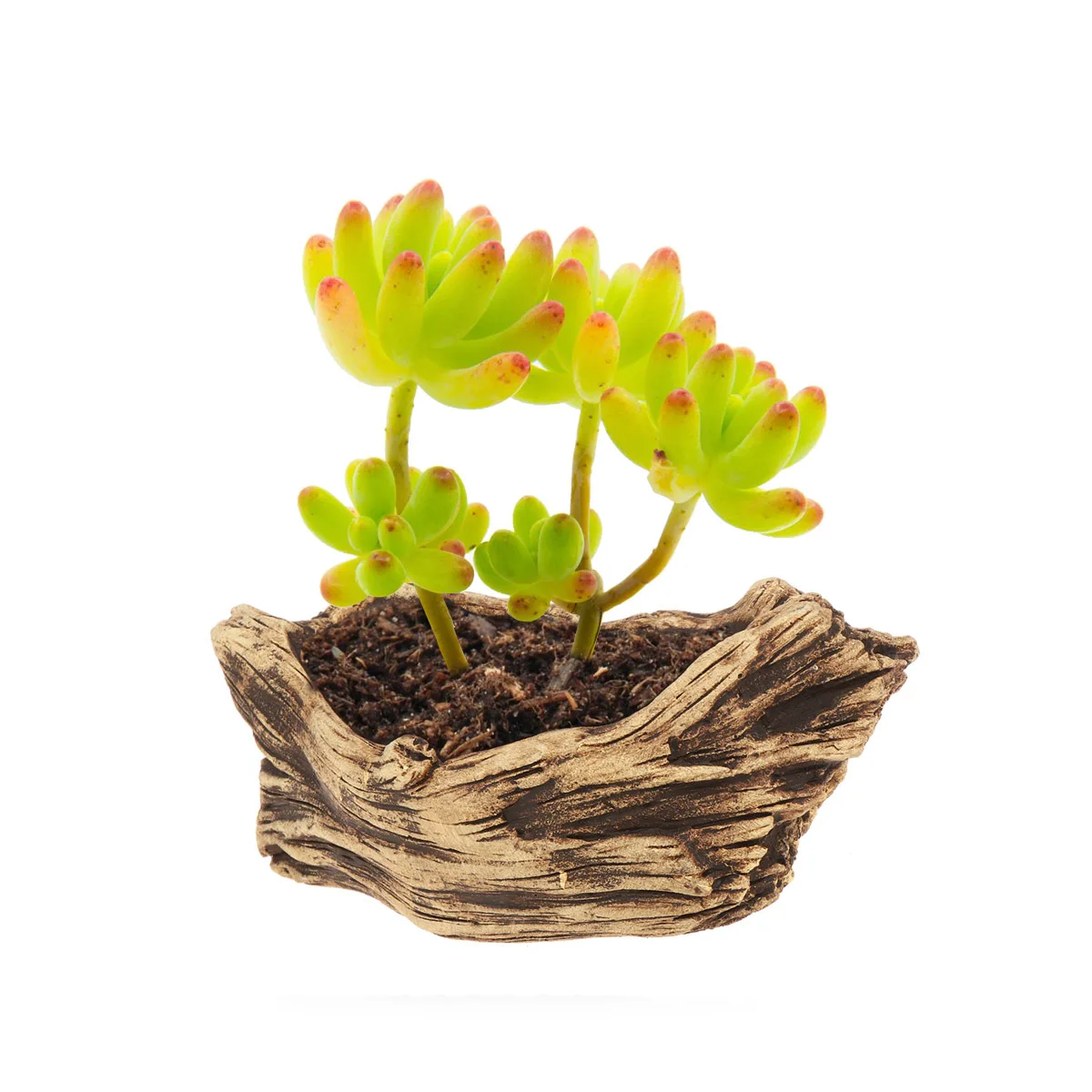 

Leakproof Cement Basin Wooden Stump Style Flowerpot for Small Plants Potted Succulents Craft Garden Ornament Lightweight Home