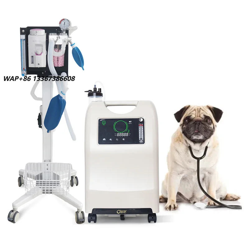 Olive Premium Medical Veterinary Instruments Portable Robotic Veterinary Equipment with Oxygen Concentrator