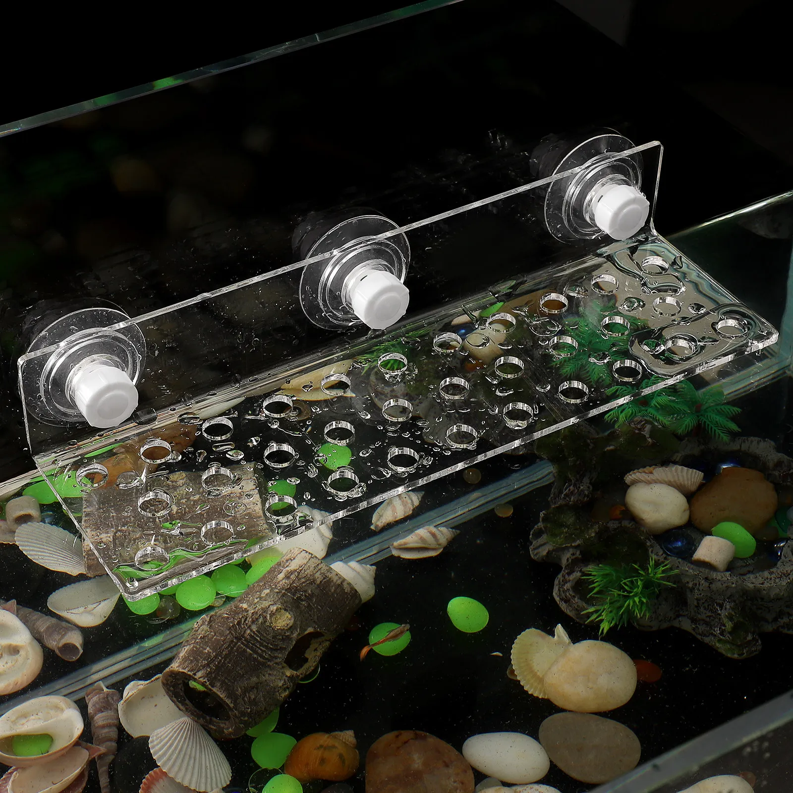 Aquarium Fish With Long Lifespan - 32 Holes Coral Bracket Acrylic Support