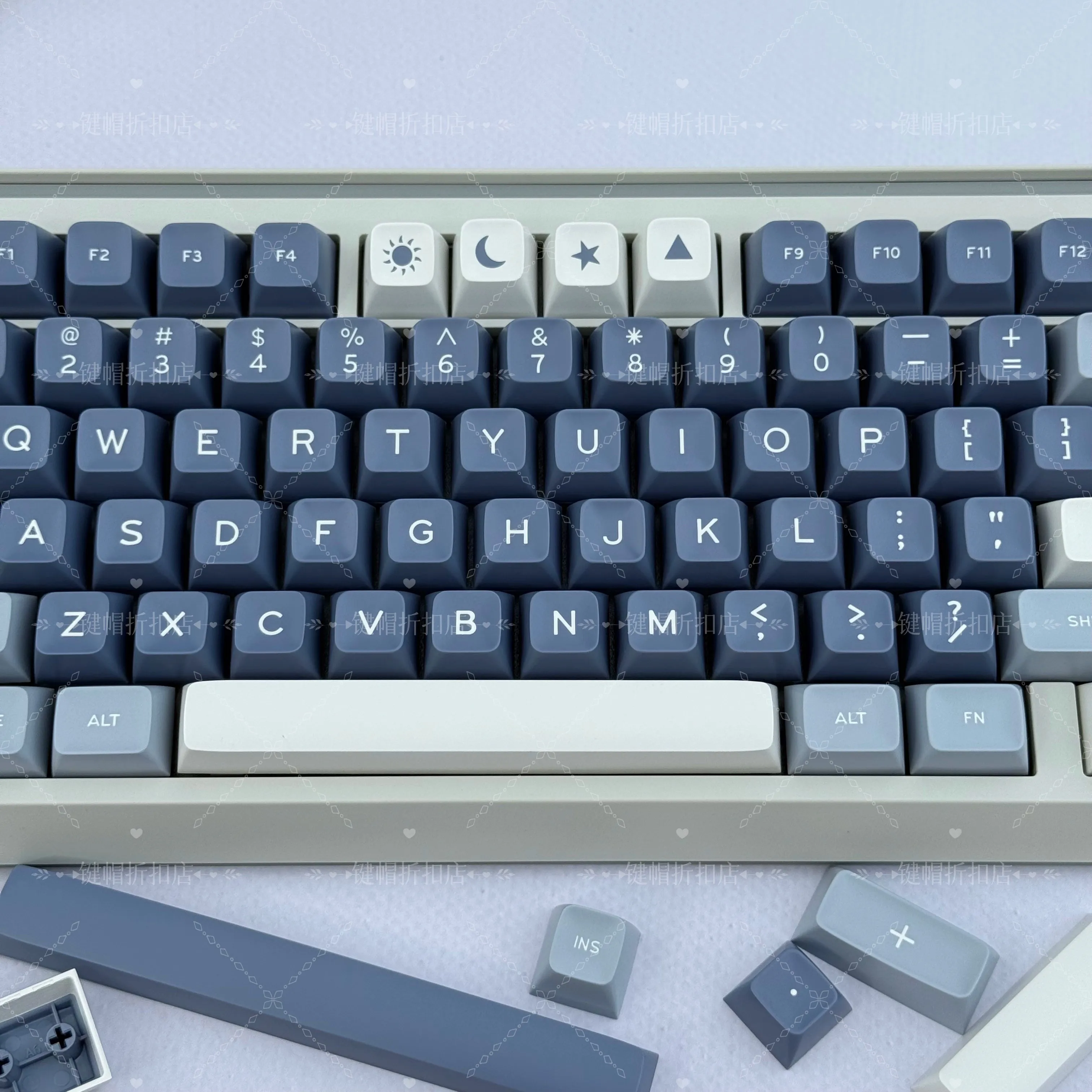 173 Keys Fish Keycaps SA Profile Double Shot ABS Keyboard Keycaps for Cherry MX Switches Mechanical Gamer Keyboard