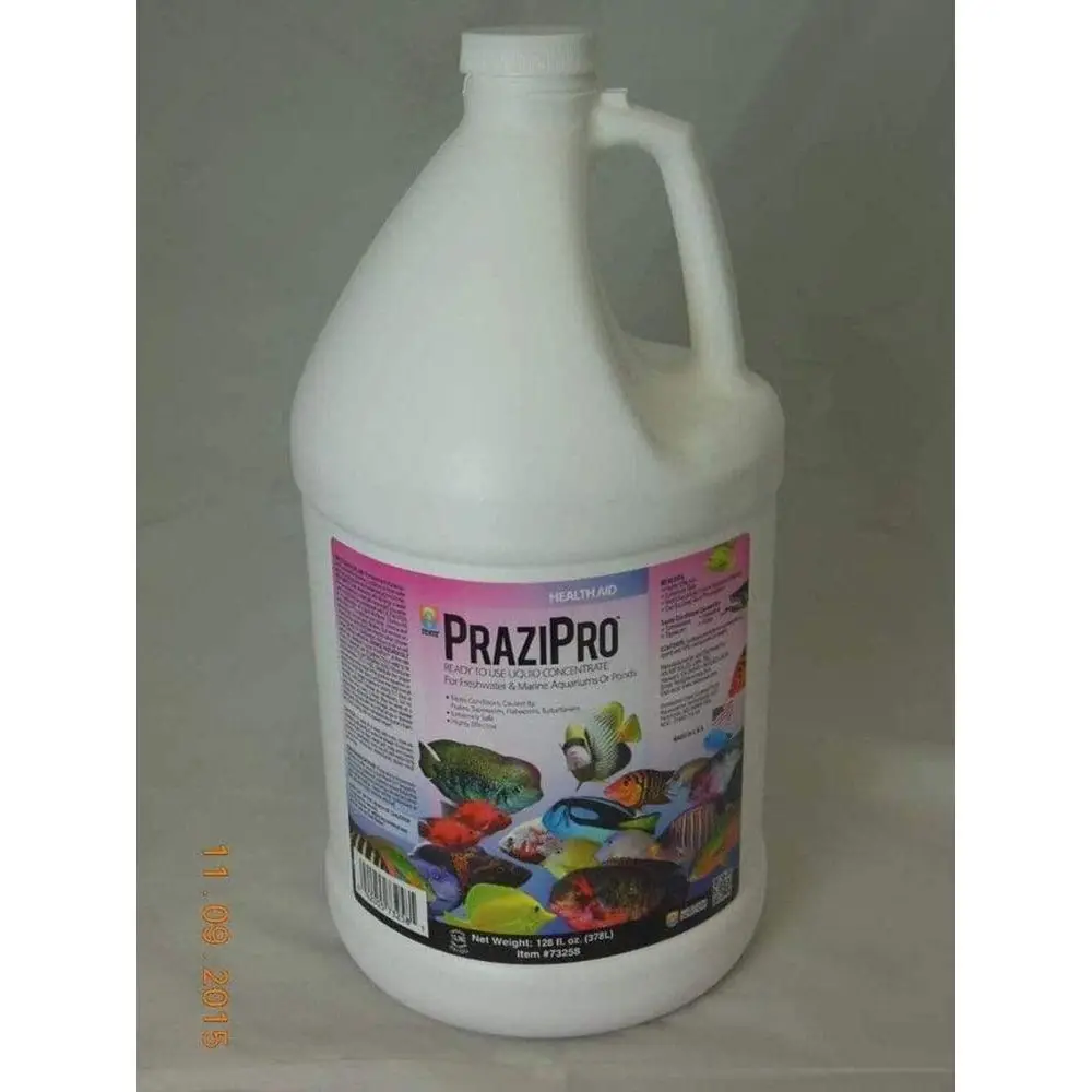 

1 Gallon Aquarium Water Solution