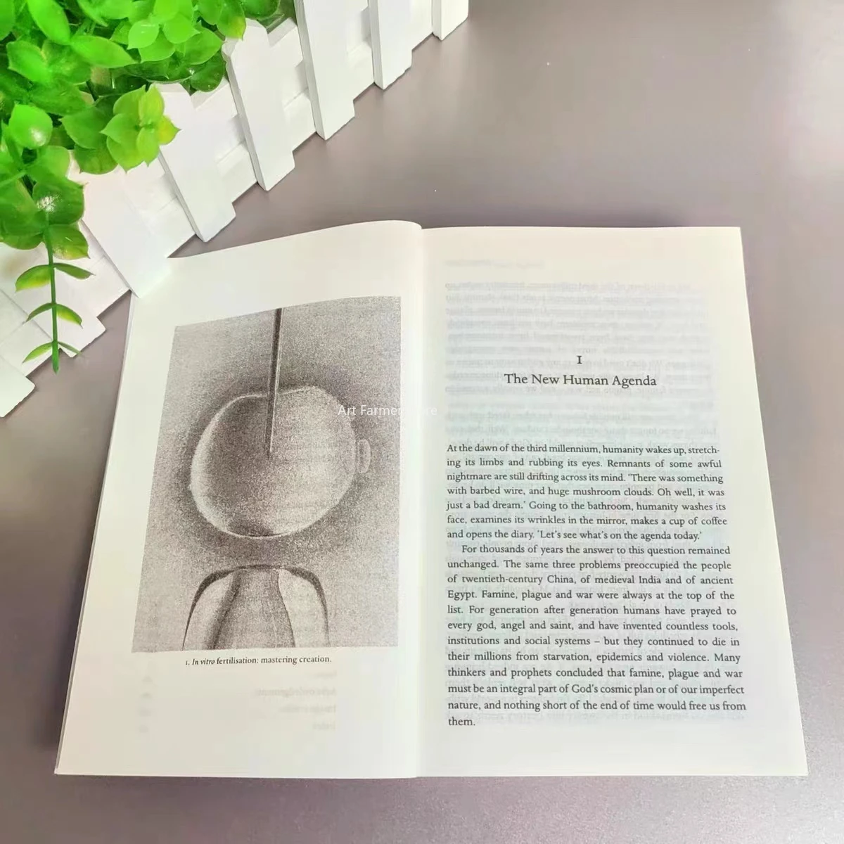 Imagem -05 - Home Deus por Yuval Noah Harari Paperback Book in English