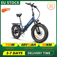 SAMEBIKE LOTDM200-II Electric Bike 750W 20” Fat Tire E-Bike 48V 13Ah Battery Adults Men Women