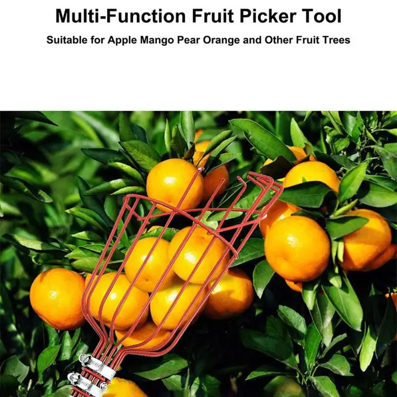 Garden Basket Fruit Picker Head with Telescopic Extendable Pole Fruit Picking Harvester Non-Slip Grip Handle High Altitude