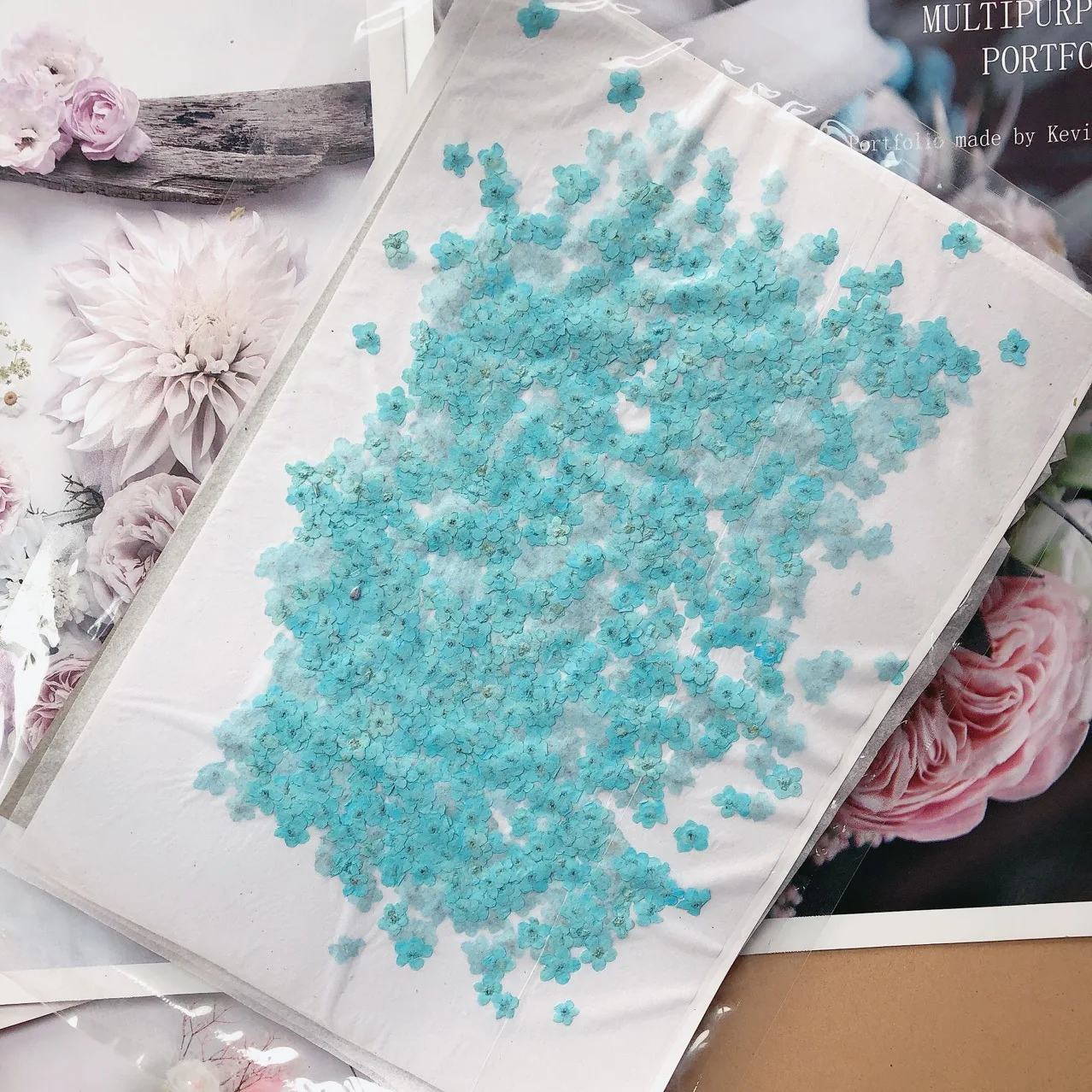 80 Stück/0,5-1,5 cm, Gepresste Mini-Vergissme-nicht-Blütenblätter, Gefärbte Echte Mini-Blumen für DIY-Nageldesign, Basteln, Foto-Geschenkkarten – Detail 11