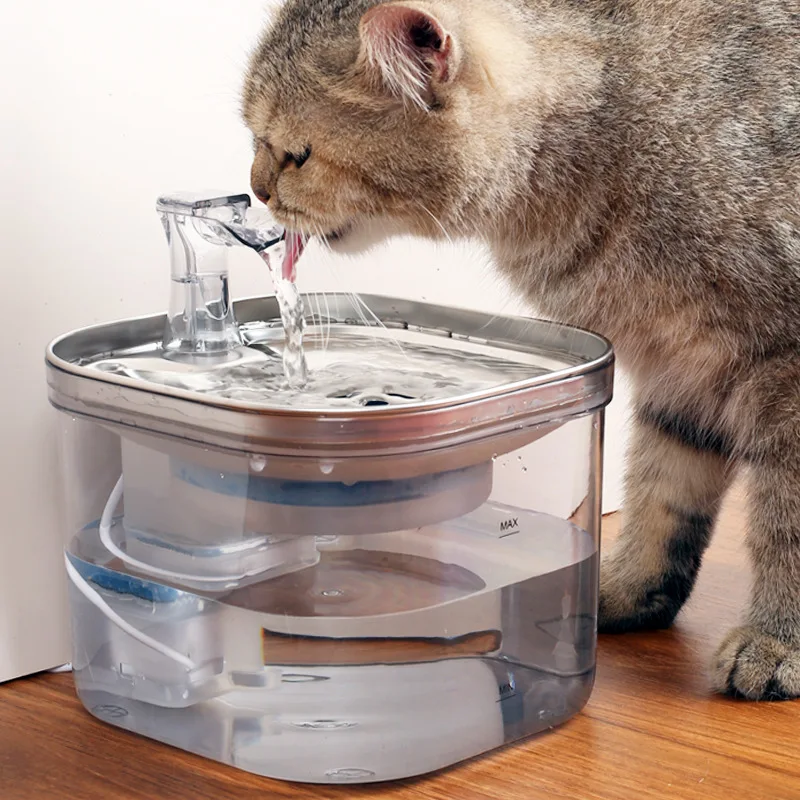 Stainless Steel and PP Transparent Automatic Pet Water Dispenser WF040 2L Capacity USB-Powered Silent Pump Cats Water Fountain view 4