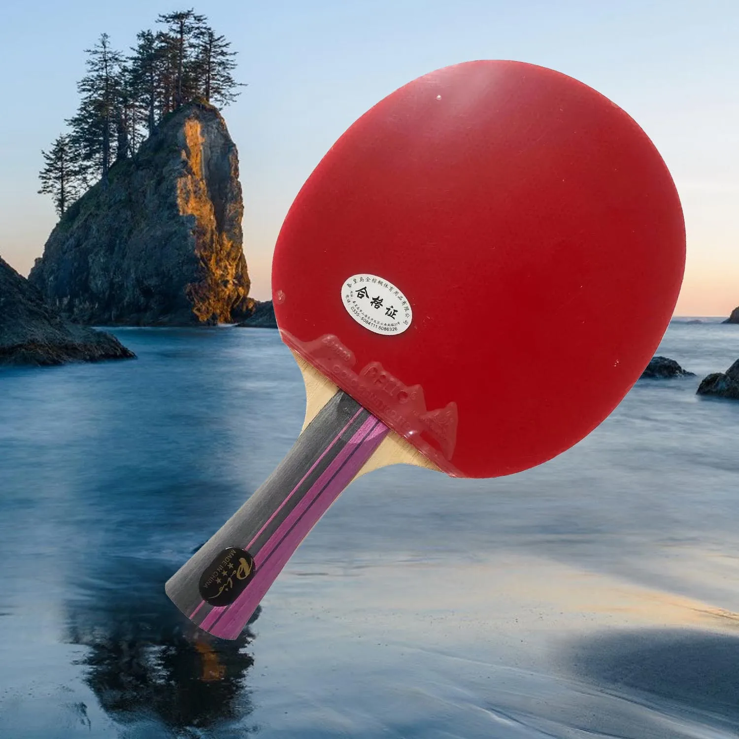 

Palio 3 STAR Table Tennis Racket with CJ8000 Rubber Sponge Racket PALIO 3-Star CARBON Ping Pong Bat Paddle