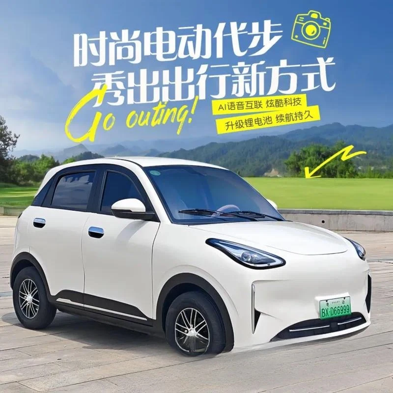 4 Wheel Electric Scooter for Adults Household New Energy Battery Powered Vehicle Senior Mobility Car