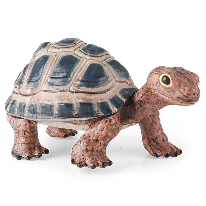 Tortoise Model Realistic Amphibian Animal Figure for Collection and Display