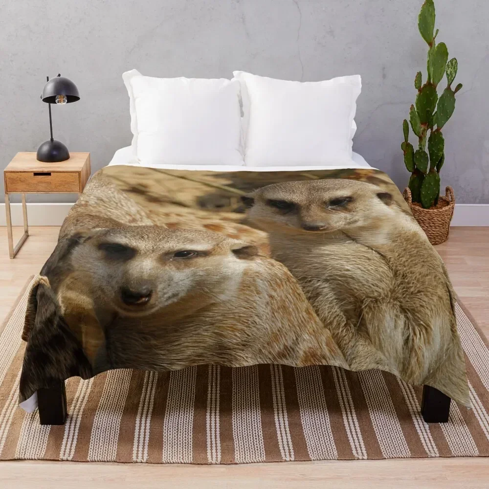 Meerkat 039 Throw Blanket funny gift Plaid Blankets