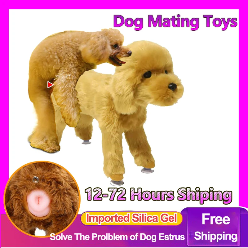 do male dogs masturbate living things: COMMON DOG ISSUES (MOUNTING AND MASTURBATION)