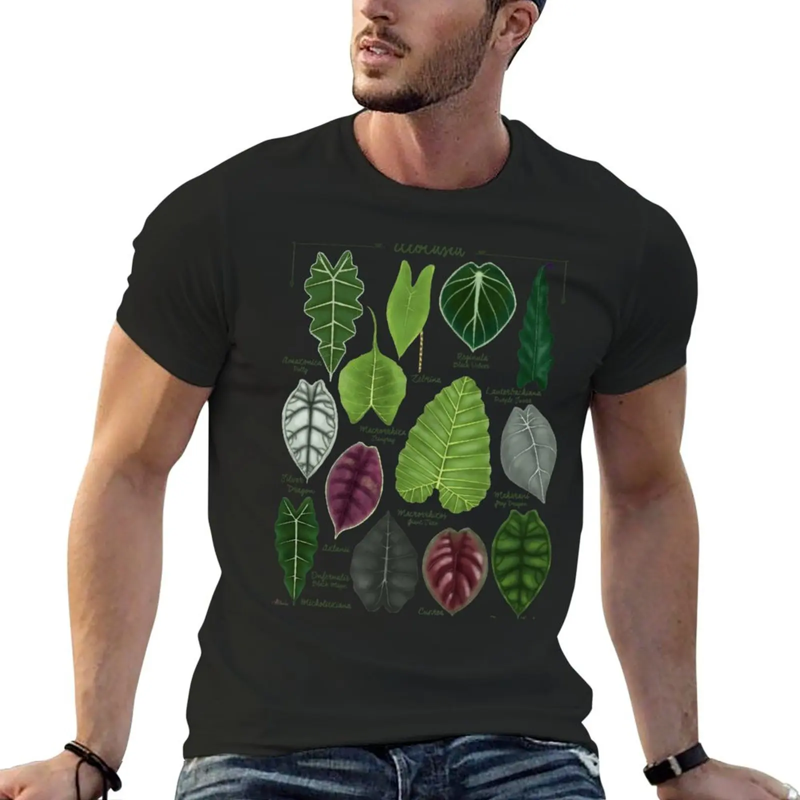 

Alocasia leaf species illustration & pattern T-Shirt plus size tops customs design your own cheap stuff black t-shirts for men