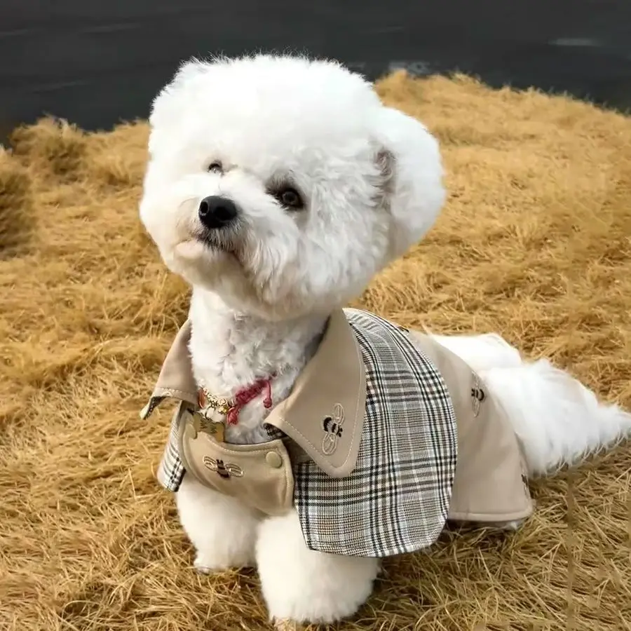 

Pet Dogs Clothes Jacket For Small Medium Dogs Wind Coat Windbreaker French Bulldog For Dogs Clothes Chihuahua Pet Windbreaker