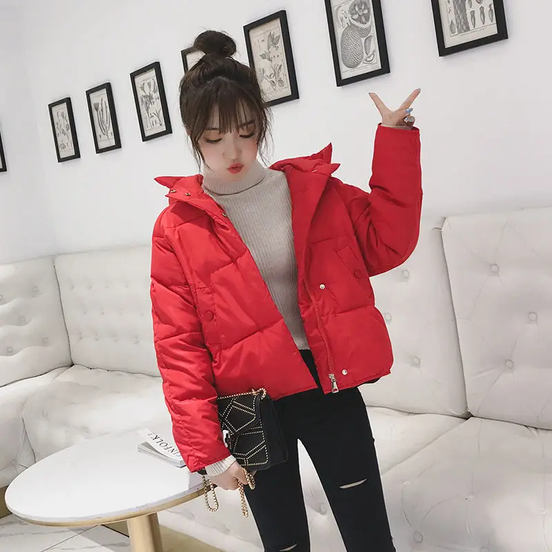 2023  Autumn Winter Coat Women Winter Jackets Parka Korean Short Puffer Jacket Long Sleeve Student Hooded Down Cotton Outwear