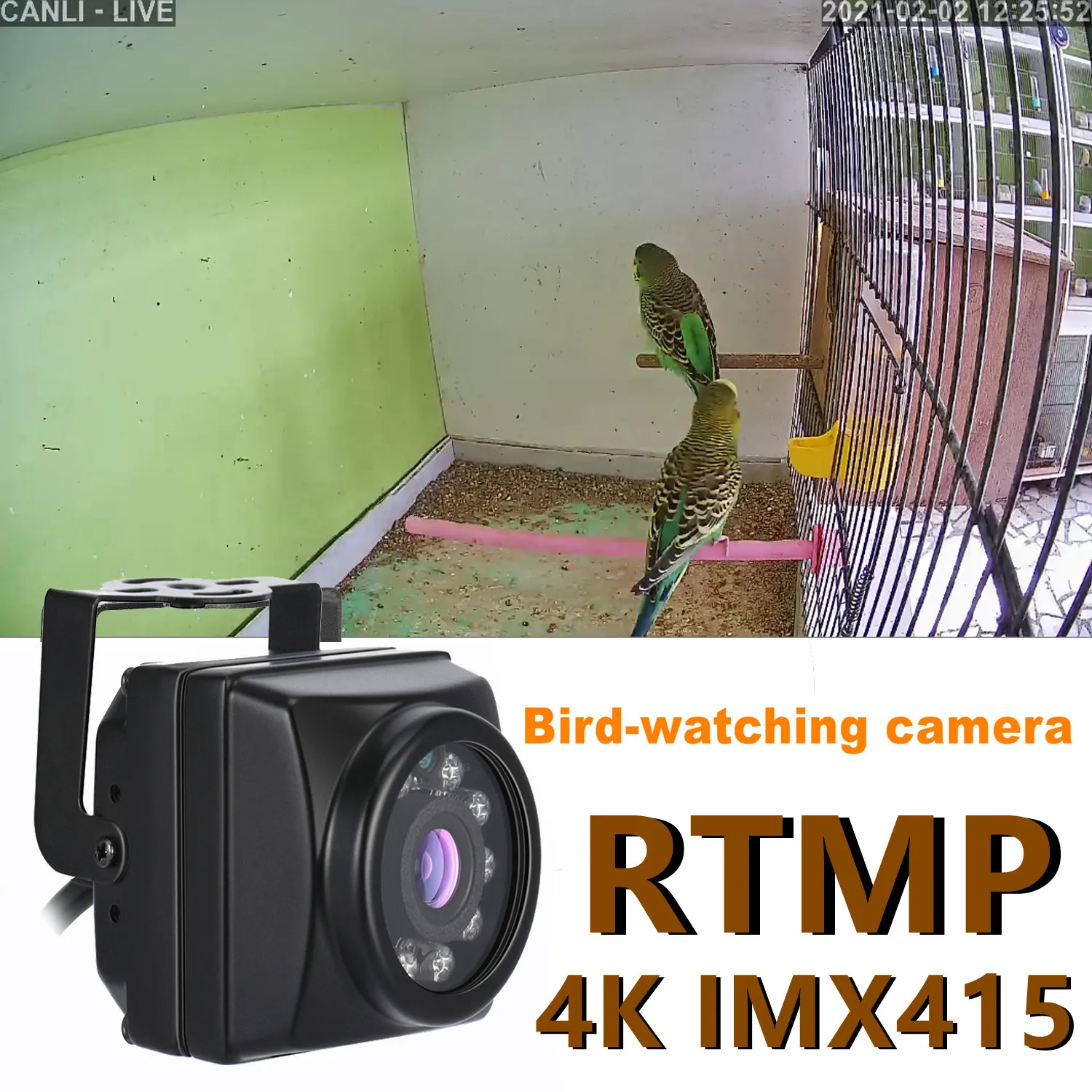 4K RTMP Bird Box Camera Kit Birdcage 8MP Night Vision Rtmp Stream Camera POE Mini IP Audio Pet Nest Watching Webcam for YouTube