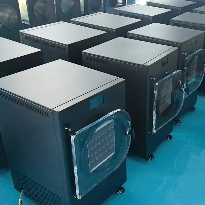 진공 실험실 한약 식품 과일 가정용 액체 동충하초 닭가슴살 동결건조기