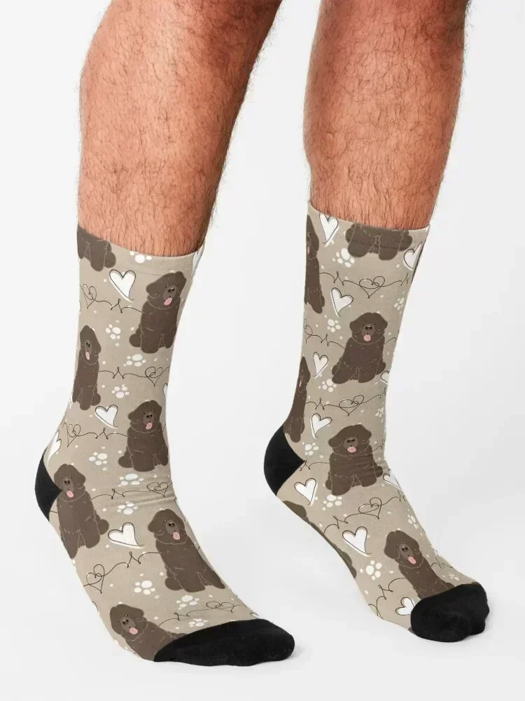 LOVE Brown Newfie Newfoundland dog Socks heated designer brand christmas gift loose Men's Socks Women's