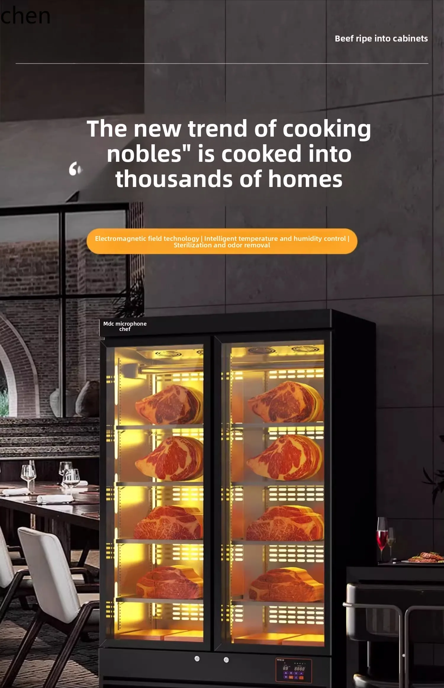 Vetrina congelata per armadio a temperatura costante frigorifero e fresco commerciale a secco e umido ZML