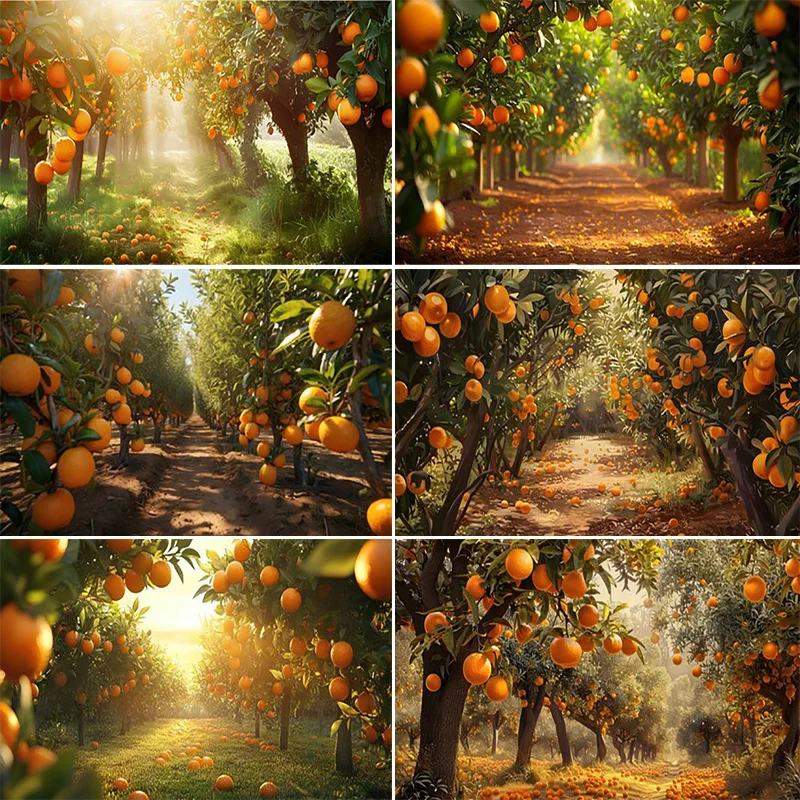 

Orange Tree Orchard Harvest Photography Backdrops Natural Grapefruit Baby Shower Party Decoration Photo Studio Background CZ-01
