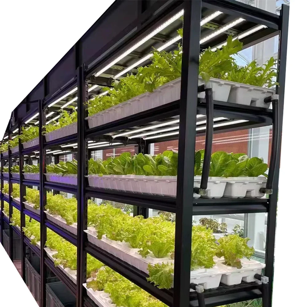 Vertical Farming Grow Rack System Hydroponics Medical Plants Mobile Indoor Plant Growing Rack System Grow Trays