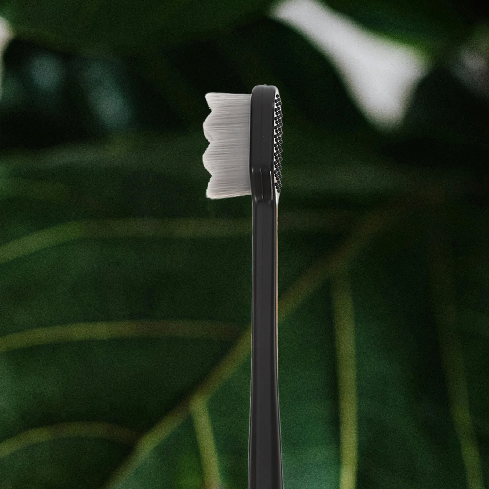 Spazzolino da denti al carbone di bambù Setole morbide e delicate Design compatto Ideale per viaggi a casa, hotel e esigenze all'aperto Spazzolino da viaggio