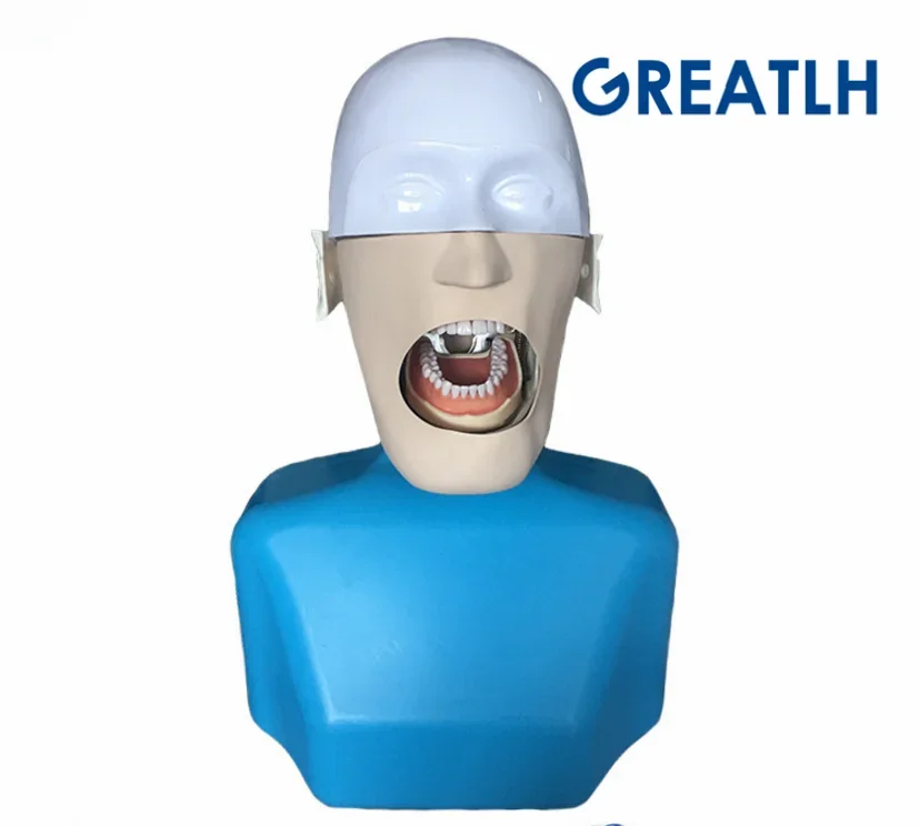 Manikins Phantom Head for Dentistry Technology Sennior Manikins Phantom Head with Torso Teaching Model