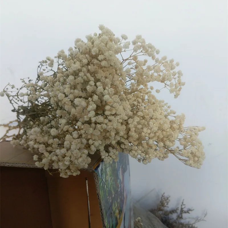 Natural White Green Pole, Pure White, Cream Color, Off-white Gypsophila Bouquets Trendy Rustic Home Wedding Decor 80g/lot