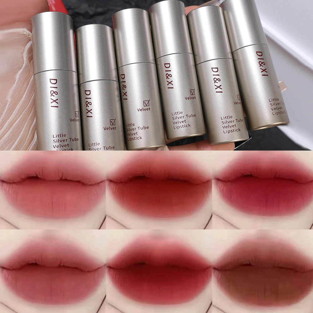 Lápiz labial de terciopelo resistente al agua, lápiz labial líquido de terciopelo, tubo plateado pequeño, marrón oscuro, mate, tinte de labios duradero, cosméticos