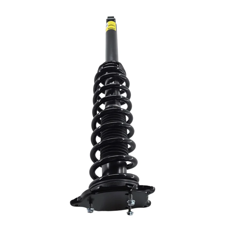 Rear Left / Right Shock Absorber Strut Assembly For Tesla Model S60 60D P85D 2015-2019 AWD 1015620