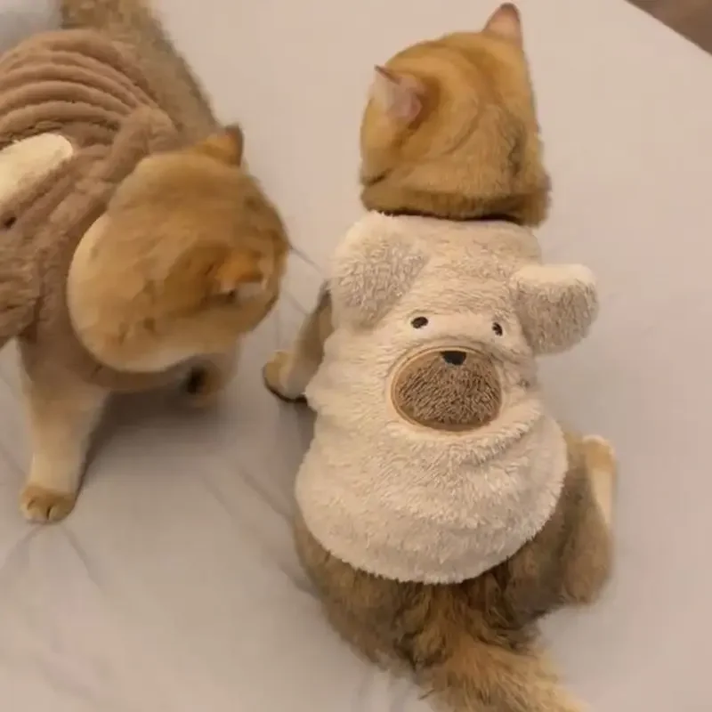 

Cat Clothes Spring and Autumn Warm and Cold-proof Bear Vest Pet Blue Cat British Short Puppet Silver Gradient Cute Sweatshirt