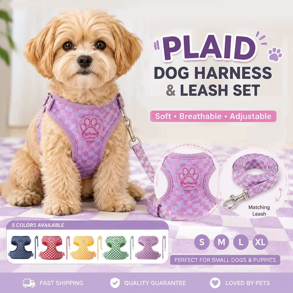 #71 Budget Puppy Leads for Smart Shoppers