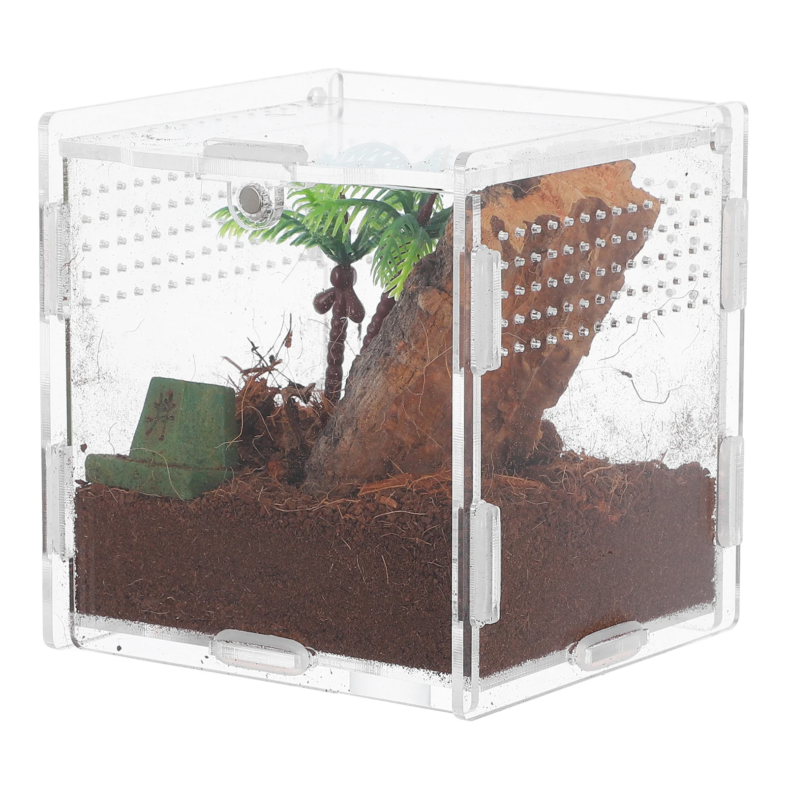 

5pcs Pet Spider Box Mini Terrarium Escapeproof Transparent Gecko Enclosure Chameleon Cage Small Size Practical Noncapturing
