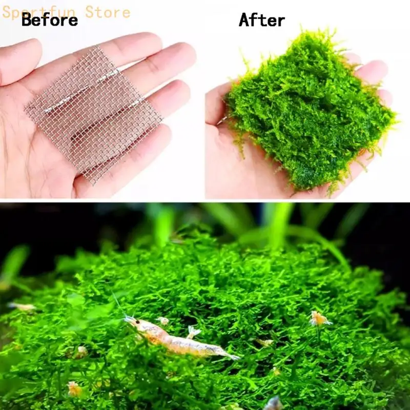 10Pcs Aquarium Mesh Squares Stainless Steel 10Cm/3.93in Plant Grids for Water Grass Layouts and Fish Tanks Decoration Use X7JD