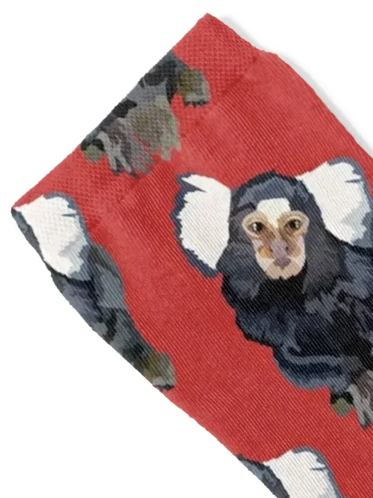 C is for Common Marmoset Socks football retro basketball bright garter Socks Ladies Men's