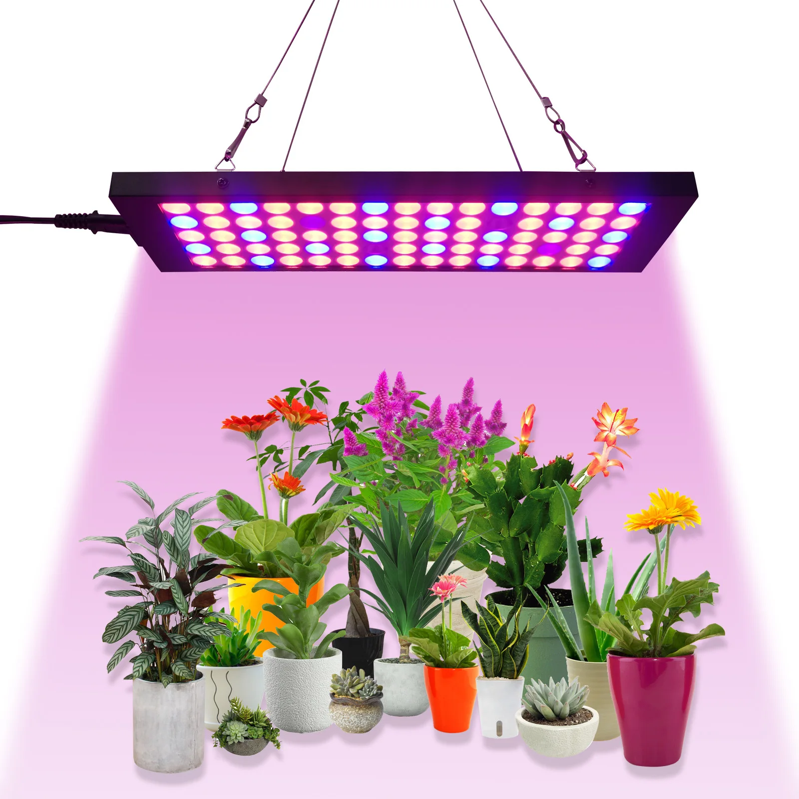 

AC220V 10W LED Grow Light Phyto Lamp Full Spectrum Plant Lamp Growing Light for Vertical Farming Veg Flower Seeds Indoor Plants