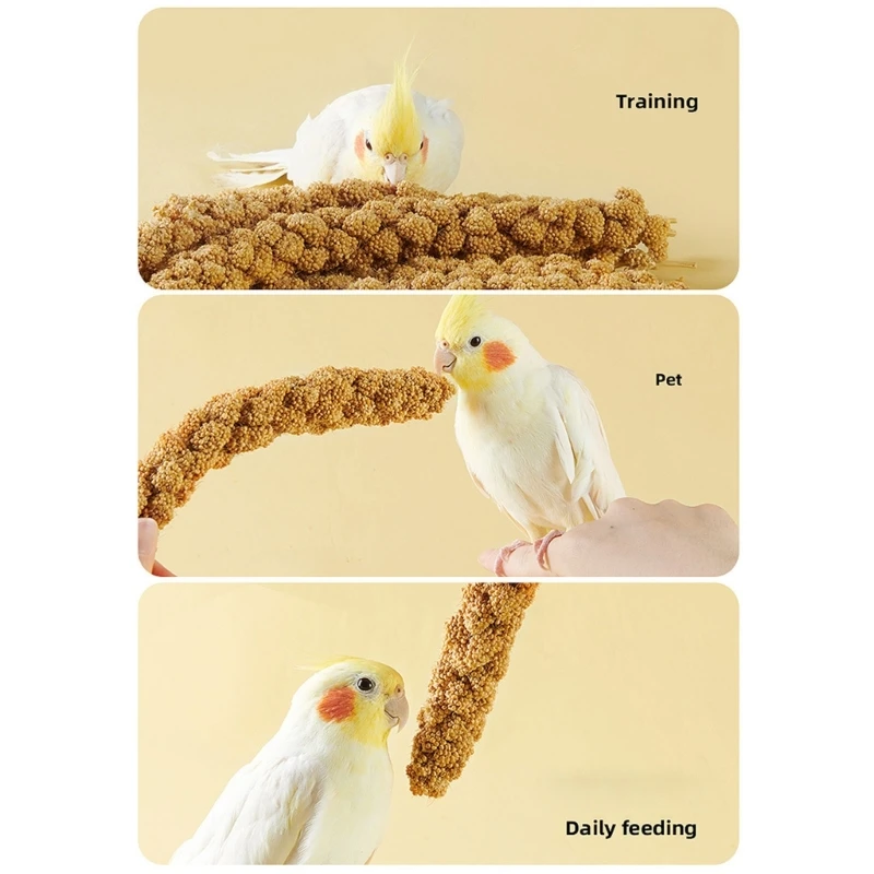 Bird Tearing Chewing Toy for Teeth Natural Seed Cage Toy