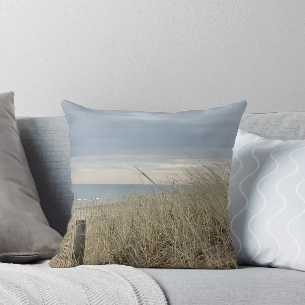 Late Winter Afternoon Throw Pillow Throw Pillow Decorative Cushions pillow