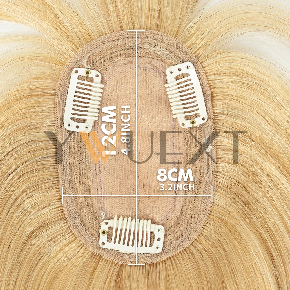 8x12cm Haarstukje van Echt Haa - Clip In Hair Piece recensie en prijs