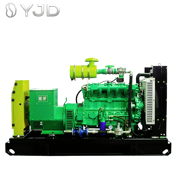 High-efficiency 200 kw Natural Gas Generator 250kva Gas Generator