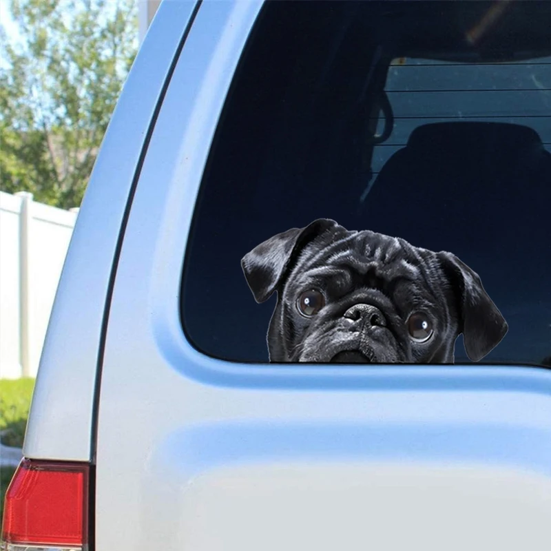 DK179#17x9cm Peeking Black Pug Car Decal Creative Waterproof Car Stickers Vinyl Decal Motorcycle Decorative Accessories