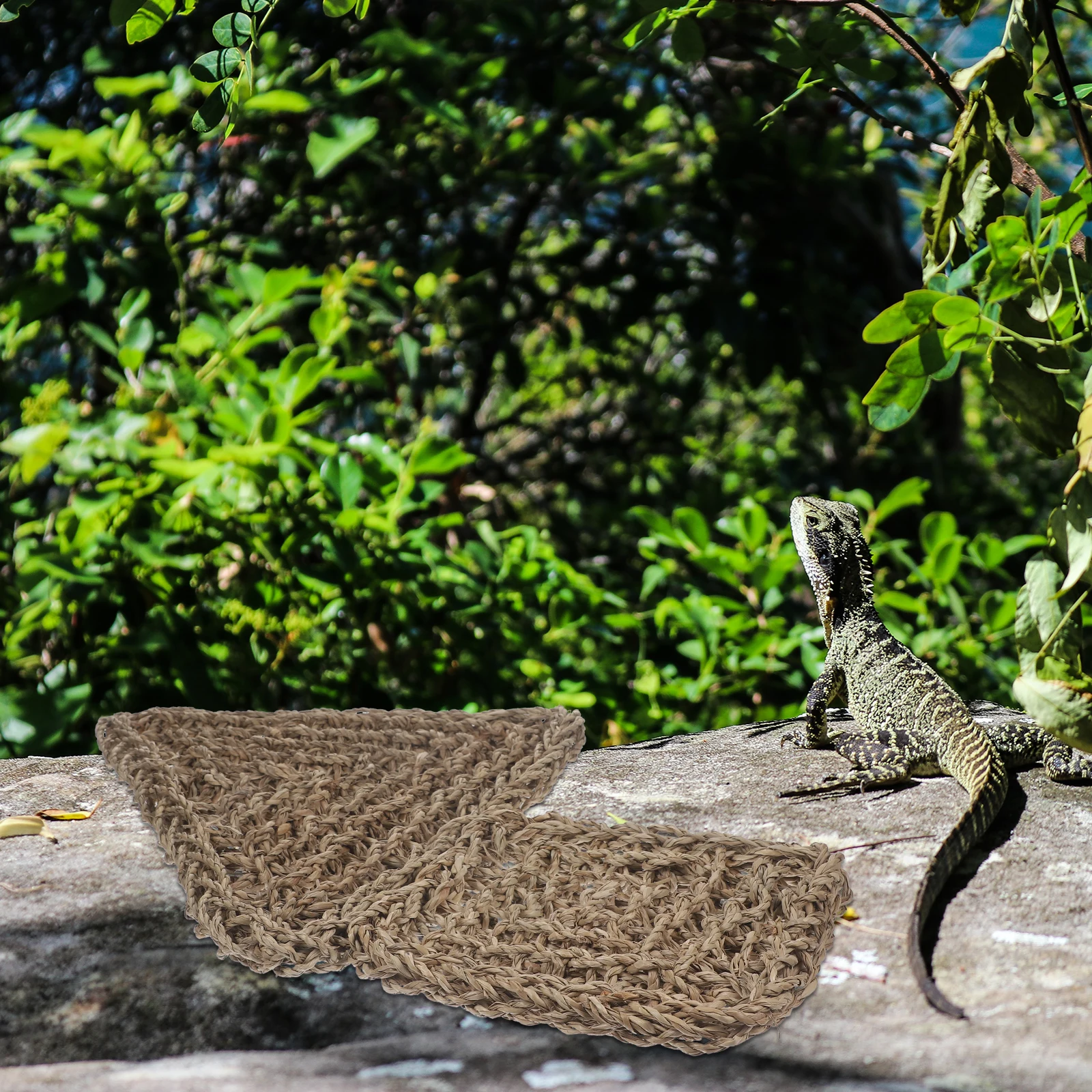 

Lizard Grass Pad Pet Mat Seaweed Cushion Hammock Durable Safe Material Easy Clean Reptile Supply Gecko Iguana Pet Tank
